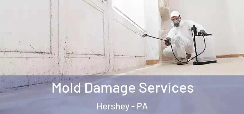 Mold Damage Services Hershey - PA