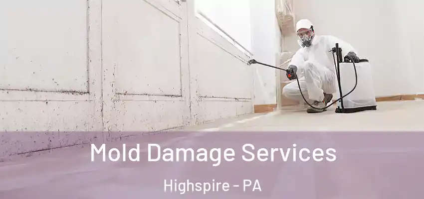  Mold Damage Services Highspire - PA
