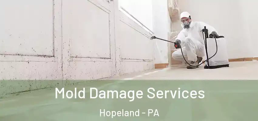  Mold Damage Services Hopeland - PA