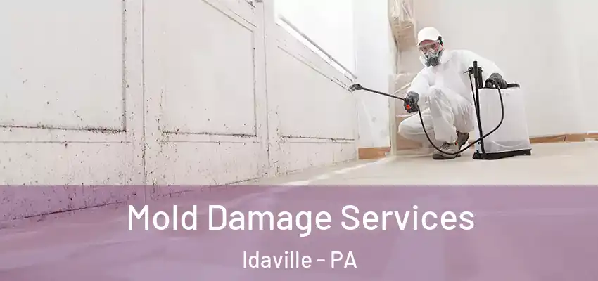 Mold Damage Services Idaville - PA