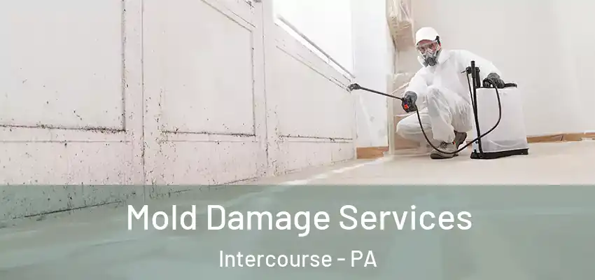 Mold Damage Services Intercourse - PA