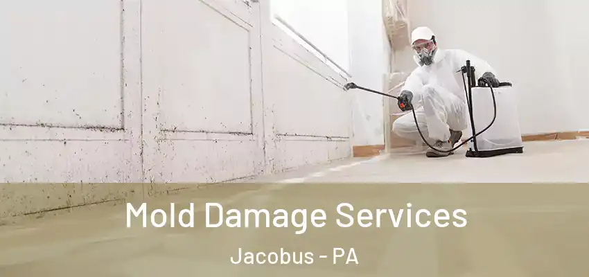 Mold Damage Services Jacobus - PA