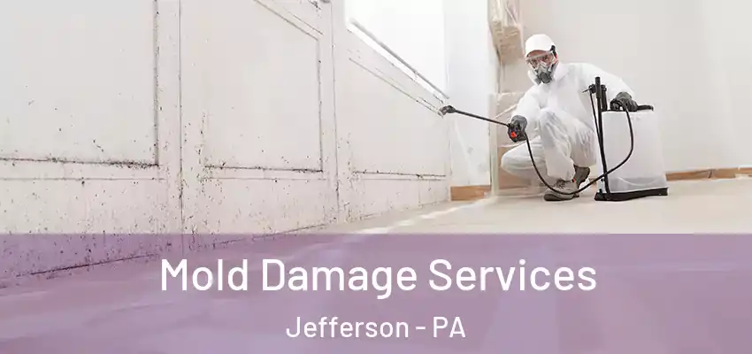 Mold Damage Services Jefferson - PA
