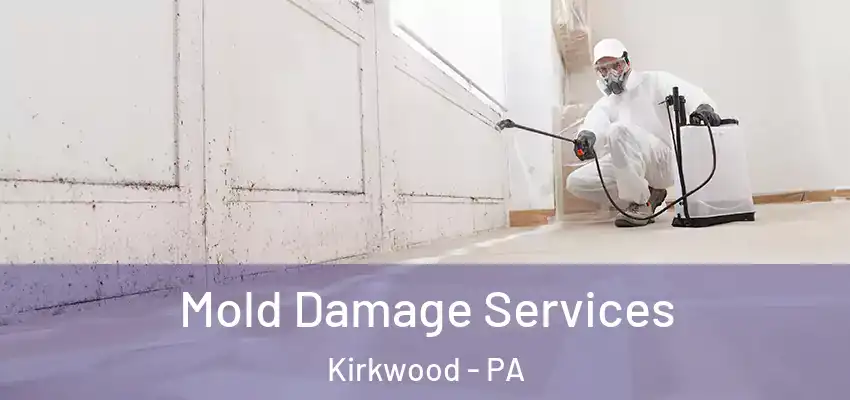 Mold Damage Services Kirkwood - PA