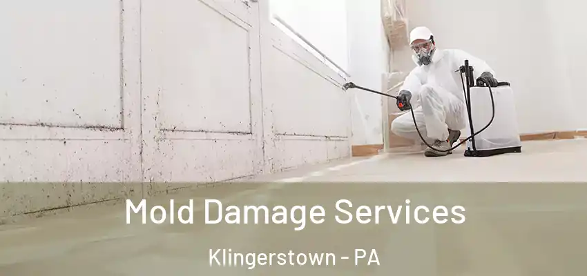 Mold Damage Services Klingerstown - PA