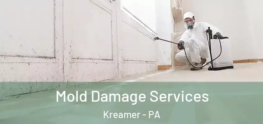 Mold Damage Services Kreamer - PA