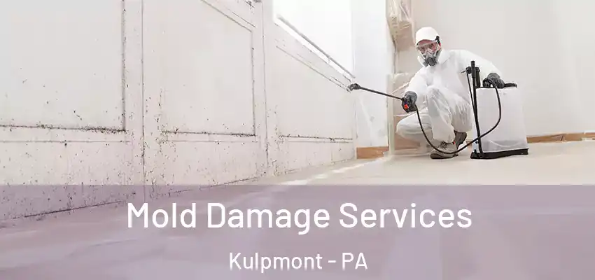 Mold Damage Services Kulpmont - PA