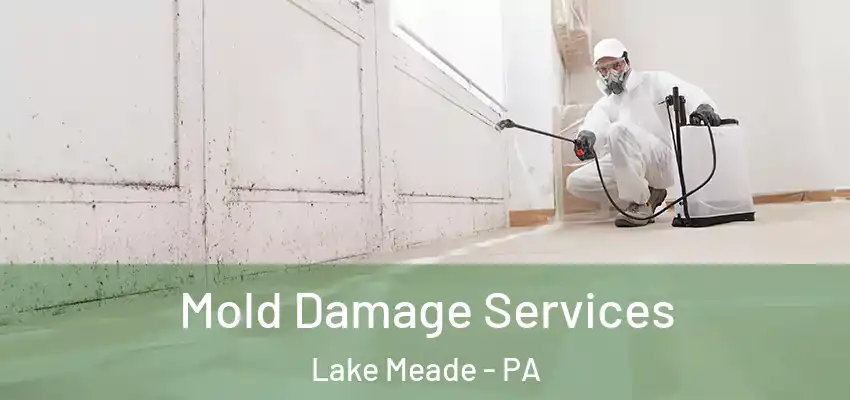 Mold Damage Services Lake Meade - PA