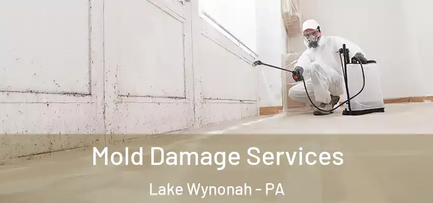  Mold Damage Services Lake Wynonah - PA