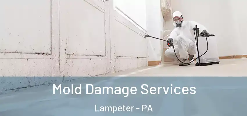 Mold Damage Services Lampeter - PA