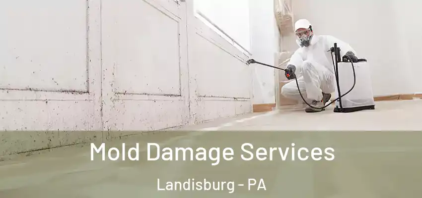 Mold Damage Services Landisburg - PA