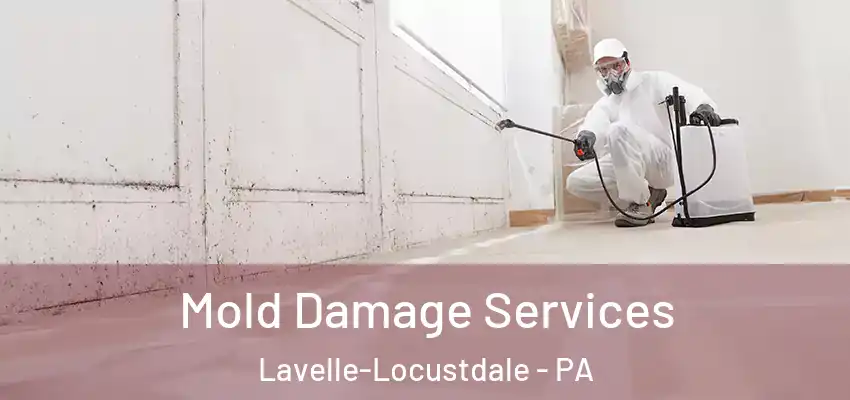 Mold Damage Services Lavelle-Locustdale - PA