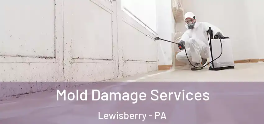  Mold Damage Services Lewisberry - PA