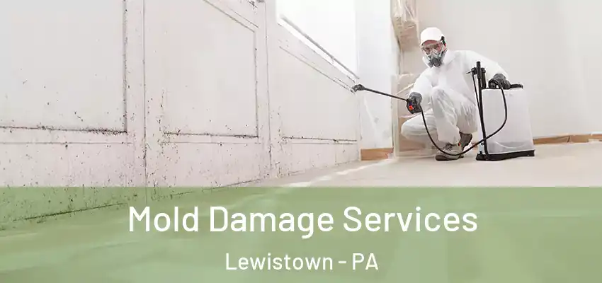 Mold Damage Services Lewistown - PA