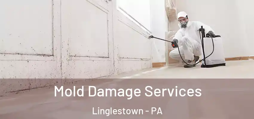 Mold Damage Services Linglestown - PA