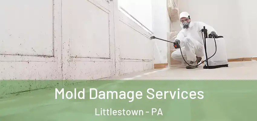 Mold Damage Services Littlestown - PA