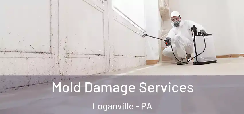  Mold Damage Services Loganville - PA