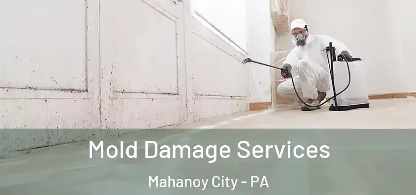  Mold Damage Services Mahanoy City - PA