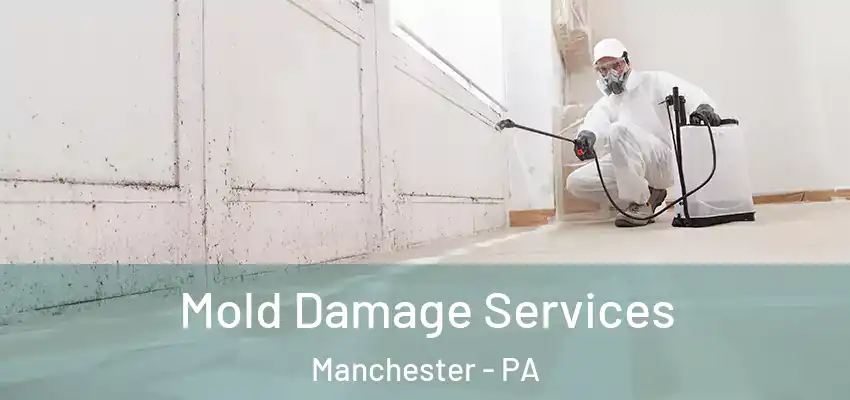  Mold Damage Services Manchester - PA