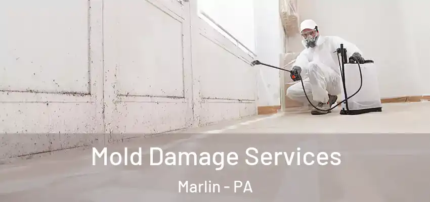  Mold Damage Services Marlin - PA