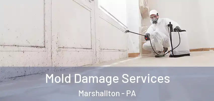 Mold Damage Services Marshallton - PA