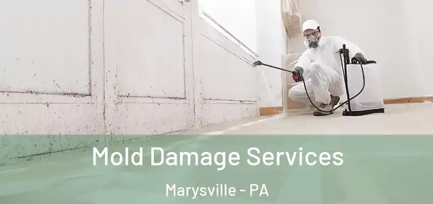 Mold Damage Services Marysville - PA