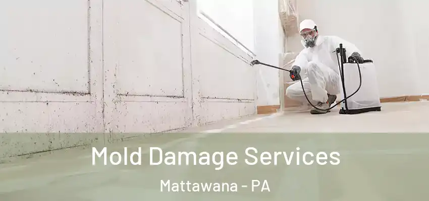 Mold Damage Services Mattawana - PA