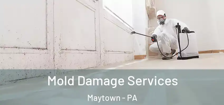 Mold Damage Services Maytown - PA