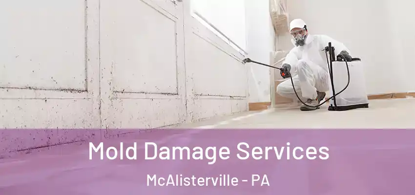  Mold Damage Services McAlisterville - PA
