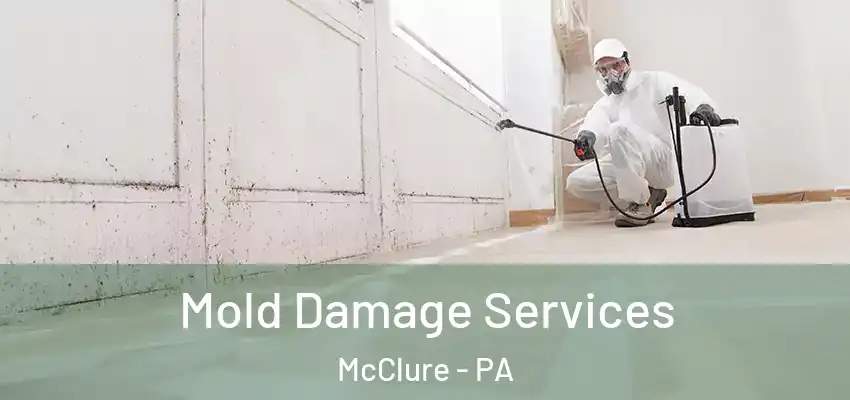 Mold Damage Services McClure - PA