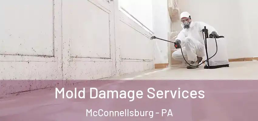  Mold Damage Services McConnellsburg - PA