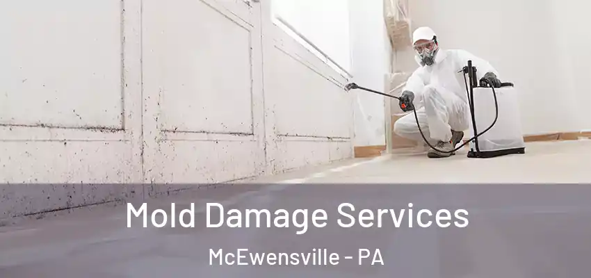 Mold Damage Services McEwensville - PA