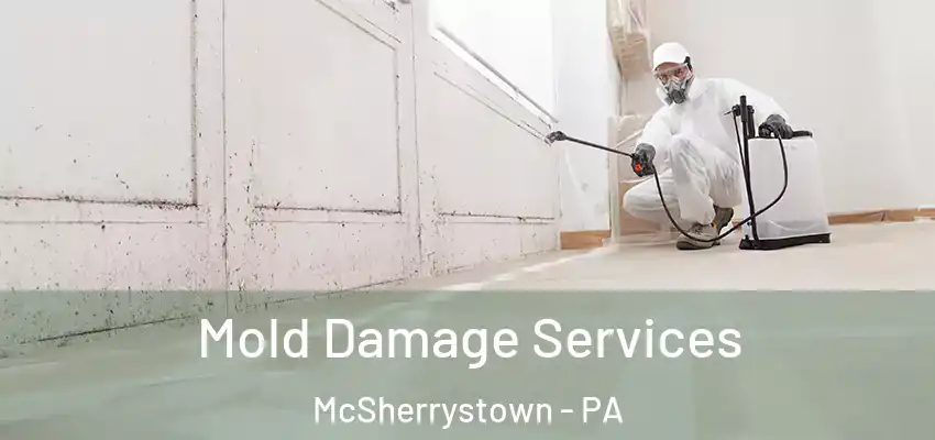  Mold Damage Services McSherrystown - PA