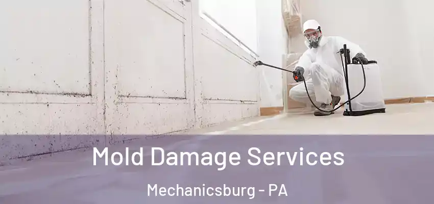  Mold Damage Services Mechanicsburg - PA