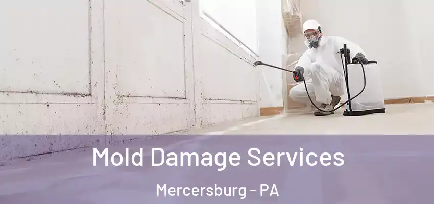 Mold Damage Services Mercersburg - PA