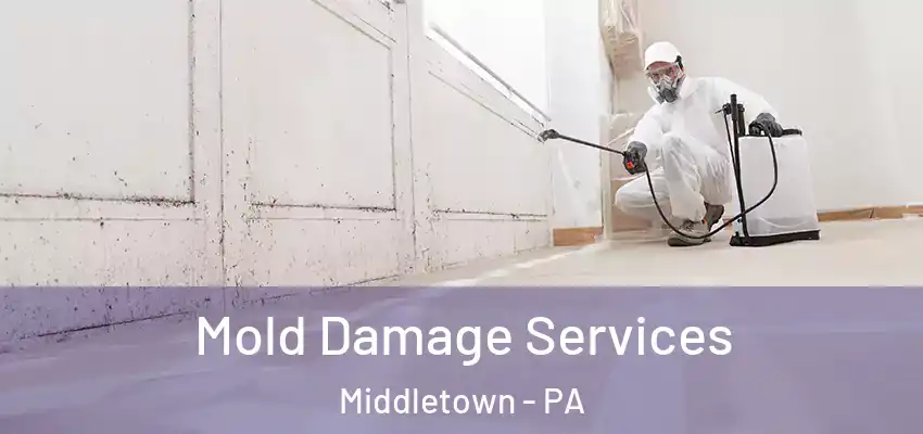 Mold Damage Services Middletown - PA
