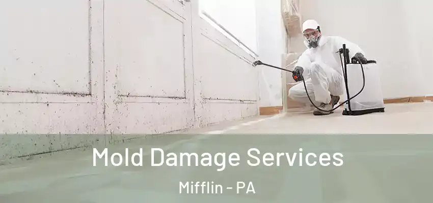 Mold Damage Services Mifflin - PA