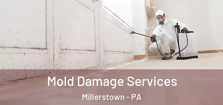  Mold Damage Services Millerstown - PA