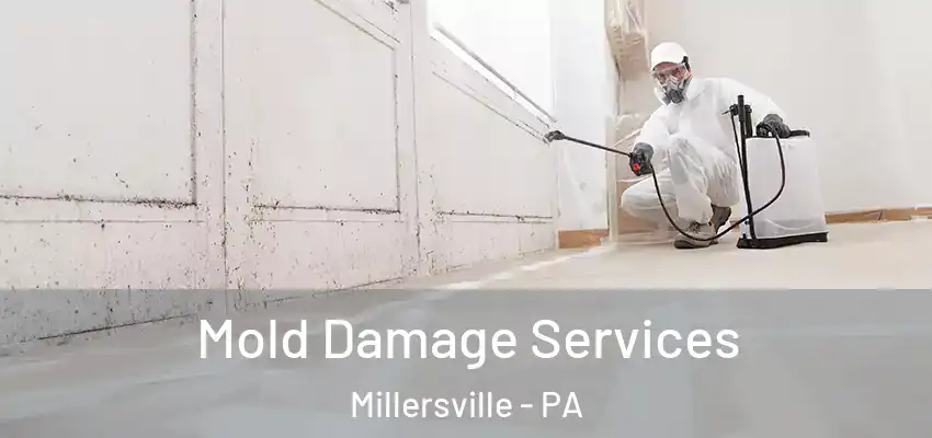 Mold Damage Services Millersville - PA