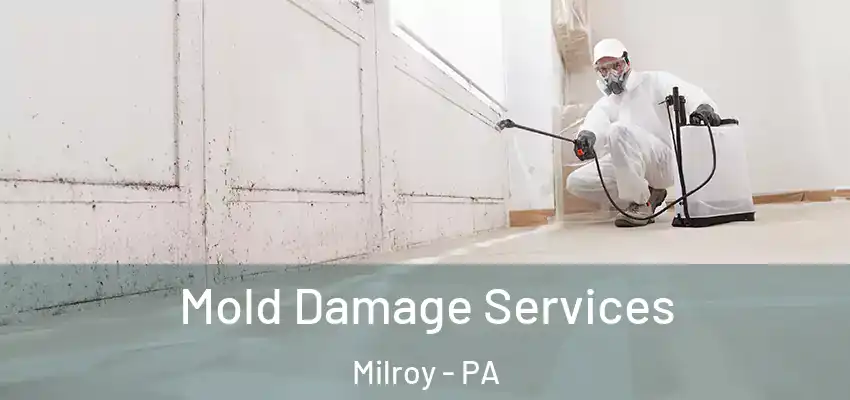 Mold Damage Services Milroy - PA