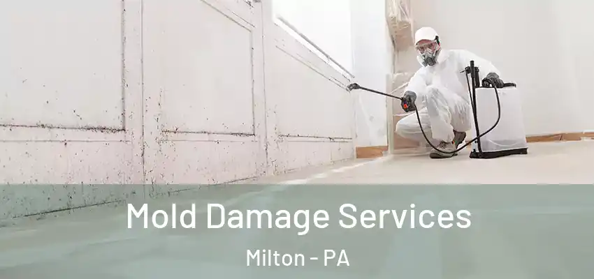 Mold Damage Services Milton - PA