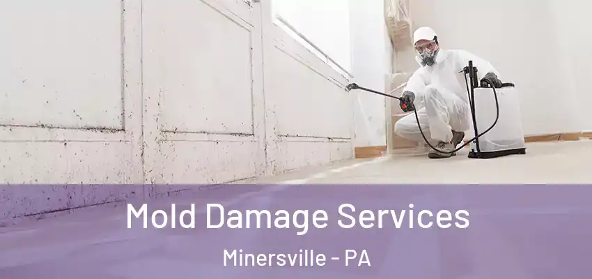  Mold Damage Services Minersville - PA