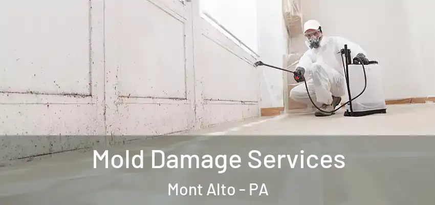  Mold Damage Services Mont Alto - PA