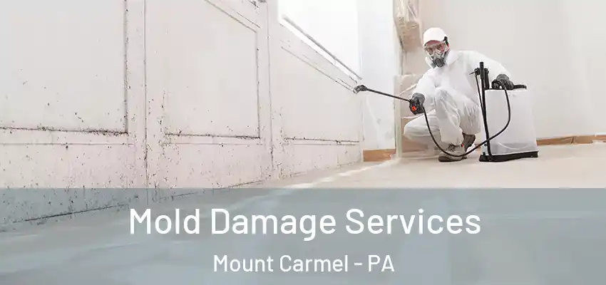 Mold Damage Services Mount Carmel - PA