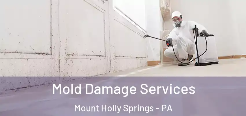 Mold Damage Services Mount Holly Springs - PA