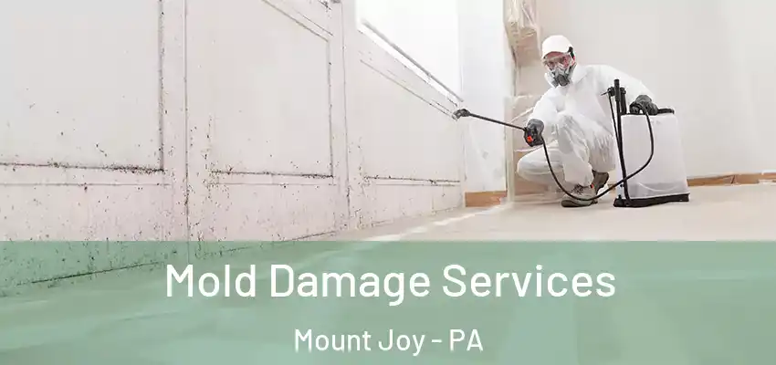 Mold Damage Services Mount Joy - PA