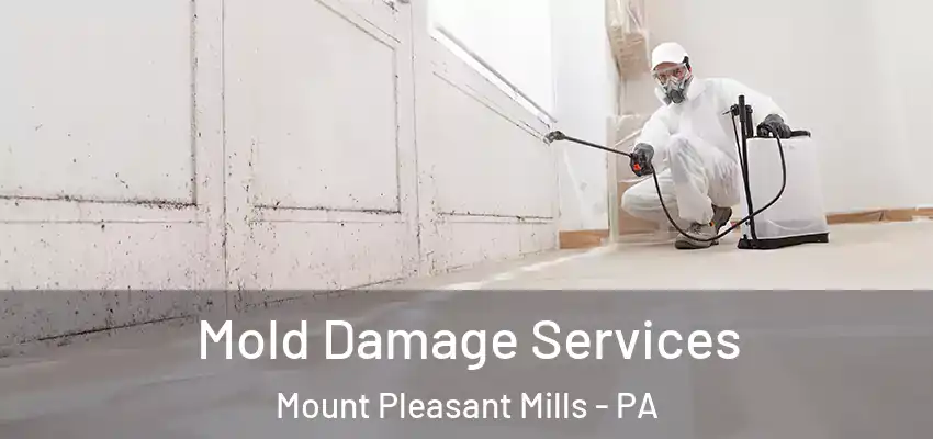  Mold Damage Services Mount Pleasant Mills - PA