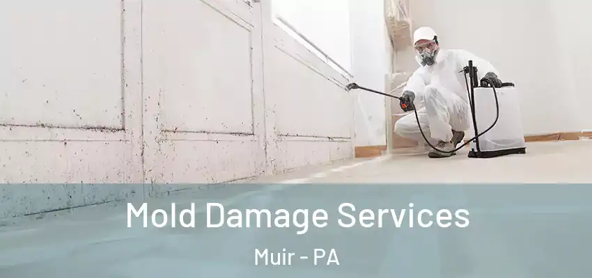 Mold Damage Services Muir - PA