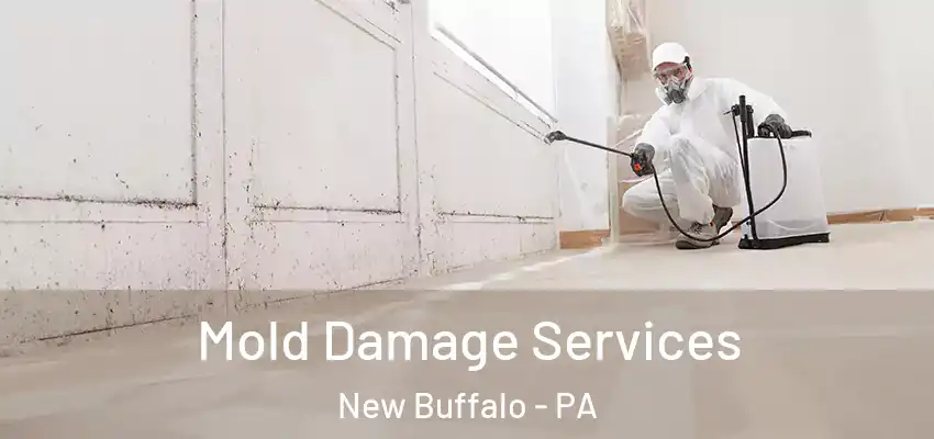  Mold Damage Services New Buffalo - PA
