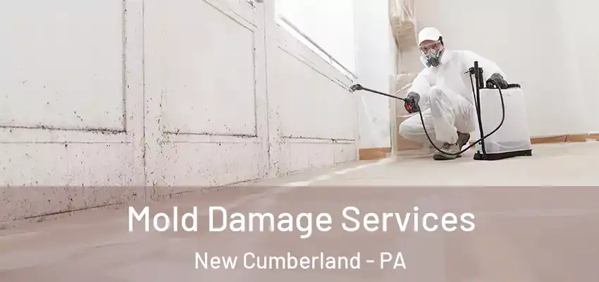 Mold Damage Services New Cumberland - PA
